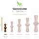 Benebone Durable Dog Chew Toy Box for Aggressive Chewers with Wishbone, Fishbone, Stick & Zaggler, Medium Benebone Durable Dog Chew Toy Box for Aggressive Chewers with Wishbone, Fishbone, Stick & Zaggler, Medium