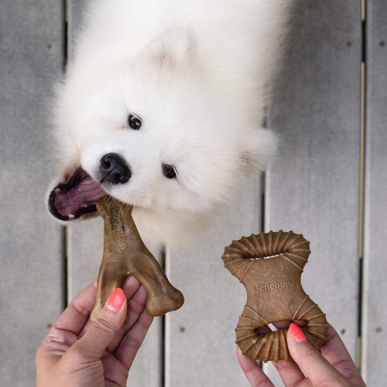 Benebone Durable Dog Chew Toy Box for Aggressive Chewers with Wishbone, Fishbone, Stick & Zaggler, Medium Benebone Durable Dog Chew Toy Box for Aggressive Chewers with Wishbone, Fishbone, Stick & Zaggler, Medium