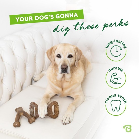 Benebone Durable Dog Chew Toy Box for Aggressive Chewers with Wishbone, Fishbone, Stick & Zaggler, Medium Benebone Durable Dog Chew Toy Box for Aggressive Chewers with Wishbone, Fishbone, Stick & Zaggler, Medium