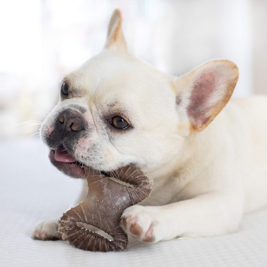 Benebone Durable Dog Chew Toy Box for Aggressive Chewers with Wishbone, Fishbone, Stick & Zaggler, Medium Benebone Durable Dog Chew Toy Box for Aggressive Chewers with Wishbone, Fishbone, Stick & Zaggler, Medium