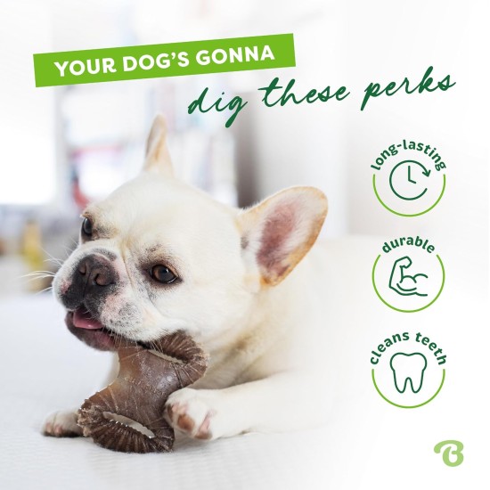 Benebone Durable Dog Chew Toy Box for Aggressive Chewers with Wishbone, Fishbone, Stick & Zaggler, Medium Benebone Durable Dog Chew Toy Box for Aggressive Chewers with Wishbone, Fishbone, Stick & Zaggler, Medium