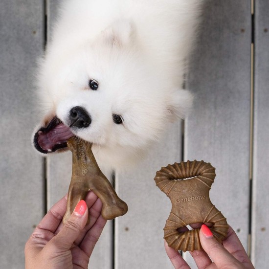 Benebone Durable Dog Chew Toy Box for Aggressive Chewers with Wishbone, Fishbone, Stick & Zaggler, Medium Benebone Durable Dog Chew Toy Box for Aggressive Chewers with Wishbone, Fishbone, Stick & Zaggler, Medium