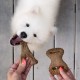 Benebone Durable Dog Chew Toy Box for Aggressive Chewers with Wishbone, Fishbone, Stick & Zaggler, Medium
