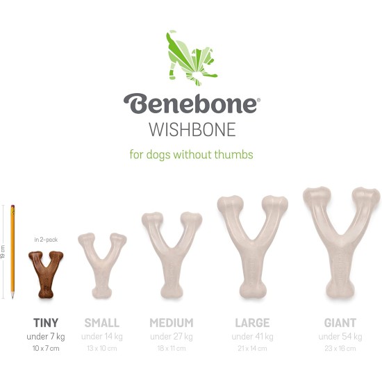 Benebone Durable Dog Chew Toy Box for Aggressive Chewers with Wishbone, Fishbone, Stick & Zaggler, Medium Benebone Durable Dog Chew Toy Box for Aggressive Chewers with Wishbone, Fishbone, Stick & Zaggler, Medium