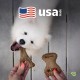 Benebone Durable Dog Chew Toy Box for Aggressive Chewers with Wishbone, Fishbone, Stick & Zaggler, Medium