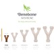 Benebone Durable Dog Chew Toy Box for Aggressive Chewers with Wishbone, Fishbone, Stick & Zaggler, Medium Benebone Durable Dog Chew Toy Box for Aggressive Chewers with Wishbone, Fishbone, Stick & Zaggler, Medium