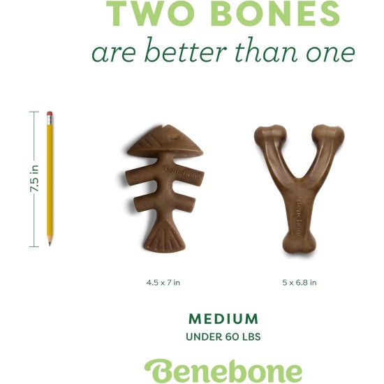 Benebone Durable Dog Chew Toy Box for Aggressive Chewers with Wishbone, Fishbone, Stick & Zaggler, Medium Benebone Durable Dog Chew Toy Box for Aggressive Chewers with Wishbone, Fishbone, Stick & Zaggler, Medium