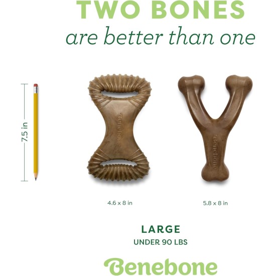 Benebone Durable Dog Chew Toy Box for Aggressive Chewers with Wishbone, Fishbone, Stick & Zaggler, Medium Benebone Durable Dog Chew Toy Box for Aggressive Chewers with Wishbone, Fishbone, Stick & Zaggler, Medium