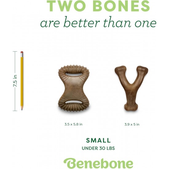 Benebone Durable Dog Chew Toy Box for Aggressive Chewers with Wishbone, Fishbone, Stick & Zaggler, Medium Benebone Durable Dog Chew Toy Box for Aggressive Chewers with Wishbone, Fishbone, Stick & Zaggler, Medium