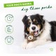 Benebone Durable Interactive Pawplexer Dog Chew Toy for Aggressive Chewers, Real Bacon, Small Benebone Durable Interactive Pawplexer Dog Chew Toy for Aggressive Chewers, Real Bacon, Small