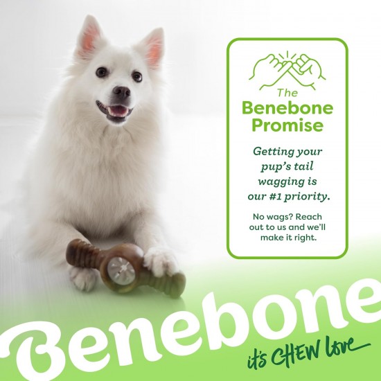 Benebone Durable Interactive Pawplexer Dog Chew Toy for Aggressive Chewers, Real Bacon, Small Benebone Durable Interactive Pawplexer Dog Chew Toy for Aggressive Chewers, Real Bacon, Small