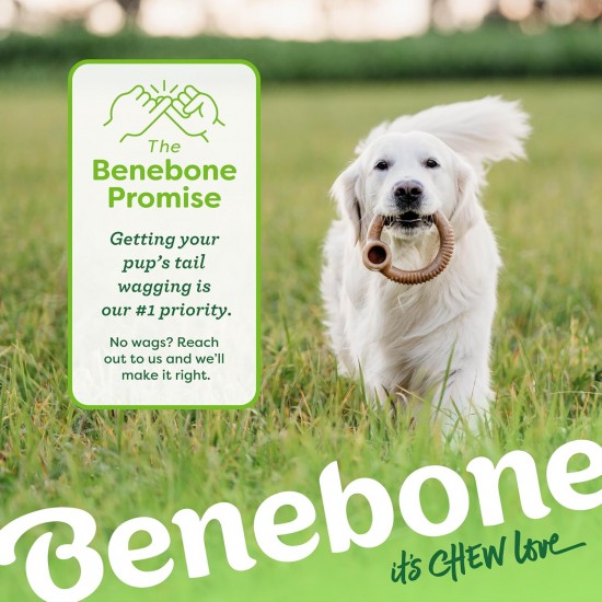 Benebone Fishbone Heavy Duty Chew Toy for Aggressive Chewers, Real Jack Salmon, Medium Benebone Fishbone Heavy Duty Chew Toy for Aggressive Chewers, Real Jack Salmon, Medium