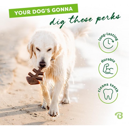 Benebone Fishbone Heavy Duty Chew Toy for Aggressive Chewers, Real Jack Salmon, Medium Benebone Fishbone Heavy Duty Chew Toy for Aggressive Chewers, Real Jack Salmon, Medium