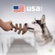 Benebone Fishbone Heavy Duty Chew Toy for Aggressive Chewers, Real Jack Salmon, Medium Benebone Fishbone Heavy Duty Chew Toy for Aggressive Chewers, Real Jack Salmon, Medium