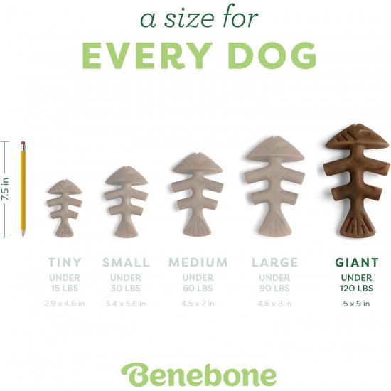 Benebone Fishbone Heavy Duty Chew Toy for Aggressive Chewers, Real Jack Salmon, Medium Benebone Fishbone Heavy Duty Chew Toy for Aggressive Chewers, Real Jack Salmon, Medium