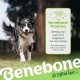 Benebone Fishbone Heavy Duty Chew Toy for Aggressive Chewers, Real Jack Salmon, Medium Benebone Fishbone Heavy Duty Chew Toy for Aggressive Chewers, Real Jack Salmon, Medium