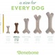 Benebone Fishbone Heavy Duty Chew Toy for Aggressive Chewers, Real Jack Salmon, Medium Benebone Fishbone Heavy Duty Chew Toy for Aggressive Chewers, Real Jack Salmon, Medium