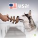 Benebone Fishbone Heavy Duty Chew Toy for Aggressive Chewers, Real Jack Salmon, Medium Benebone Fishbone Heavy Duty Chew Toy for Aggressive Chewers, Real Jack Salmon, Medium