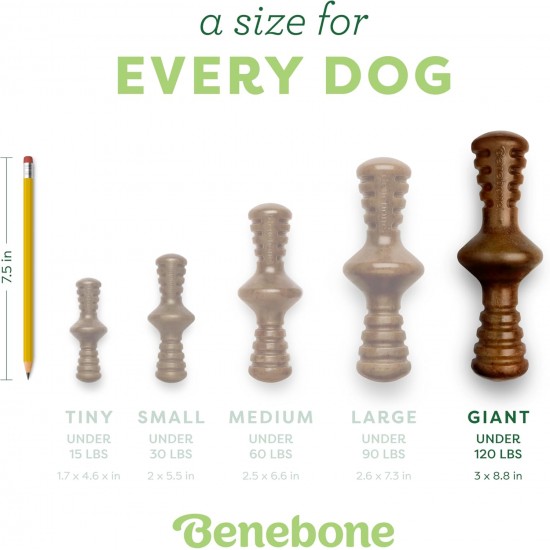 Benebone Fishbone Heavy Duty Chew Toy for Aggressive Chewers, Real Jack Salmon, Medium Benebone Fishbone Heavy Duty Chew Toy for Aggressive Chewers, Real Jack Salmon, Medium