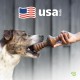 Benebone Fishbone Heavy Duty Chew Toy for Aggressive Chewers, Real Jack Salmon, Medium Benebone Fishbone Heavy Duty Chew Toy for Aggressive Chewers, Real Jack Salmon, Medium
