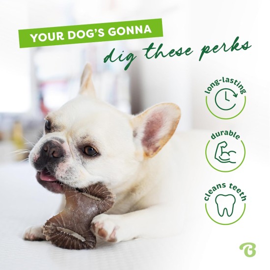 Benebone Indestructible Dog Chew Toy Gift Box for Aggressive Chewers with Wishbone, Herringbone, Stick & Zaggler, Long-Lasting Boredom Flavors, for Small Dogs, Made in Benebone Indestructible Dog Chew Toy Gift Box for Aggressive Chewers with Wishbone, Herringbone, Stick & Zaggler, Long-Lasting Boredom Flavors, for Small Dogs, Made in