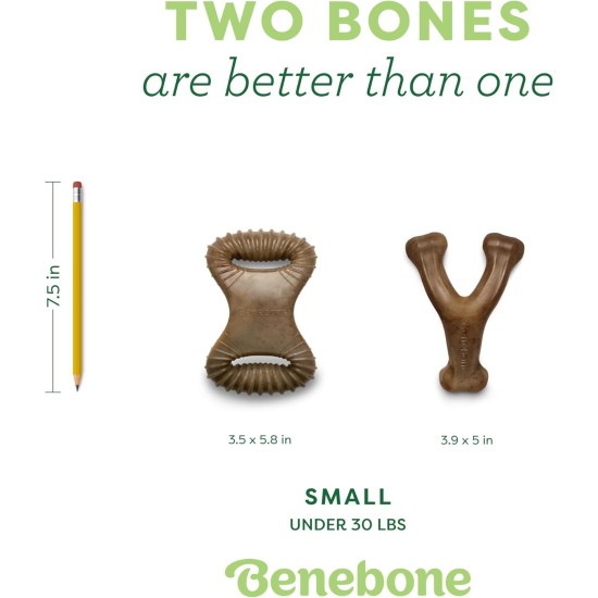 Benebone Indestructible Dog Chew Toy Gift Box for Aggressive Chewers with Wishbone, Herringbone, Stick & Zaggler, Long-Lasting Boredom Flavors, for Small Dogs, Made in Benebone Indestructible Dog Chew Toy Gift Box for Aggressive Chewers with Wishbone, Herringbone, Stick & Zaggler, Long-Lasting Boredom Flavors, for Small Dogs, Made in