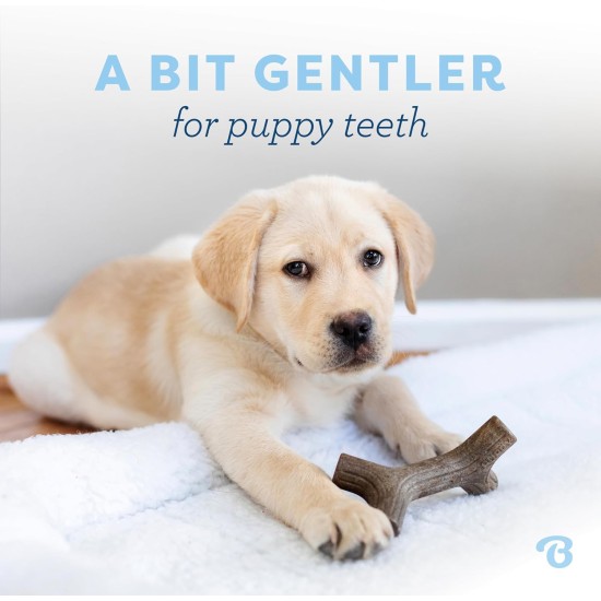 Benebone Indestructible Maple Chew Toy for Aggressive Chewers, Durable and Durable for Puppies, Real Maple Wood for Small Dogs, Product Benebone Indestructible Maple Chew Toy for Aggressive Chewers, Durable and Durable for Puppies, Real Maple Wood for Small Dogs, Product