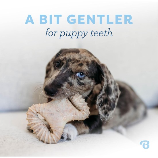 Benebone Indestructible Maple Chew Toy for Aggressive Chewers, Durable and Durable for Puppies, Real Maple Wood for Small Dogs, Product Benebone Indestructible Maple Chew Toy for Aggressive Chewers, Durable and Durable for Puppies, Real Maple Wood for Small Dogs, Product