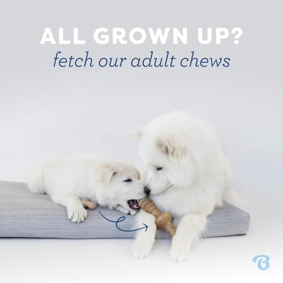 Benebone Indestructible Maple Chew Toy for Aggressive Chewers, Durable and Durable for Puppies, Real Maple Wood for Small Dogs, Product Benebone Indestructible Maple Chew Toy for Aggressive Chewers, Durable and Durable for Puppies, Real Maple Wood for Small Dogs, Product