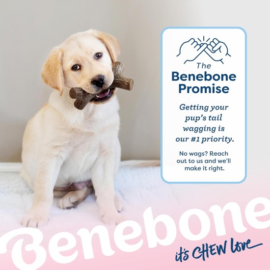 Benebone Indestructible Maple Chew Toy for Aggressive Chewers, Durable and Durable for Puppies, Real Maple Wood for Small Dogs, Product Benebone Indestructible Maple Chew Toy for Aggressive Chewers, Durable and Durable for Puppies, Real Maple Wood for Small Dogs, Product