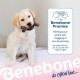 Benebone Indestructible Maple Chew Toy for Aggressive Chewers, Durable and Durable for Puppies, Real Maple Wood for Small Dogs, Product Benebone Indestructible Maple Chew Toy for Aggressive Chewers, Durable and Durable for Puppies, Real Maple Wood for Small Dogs, Product
