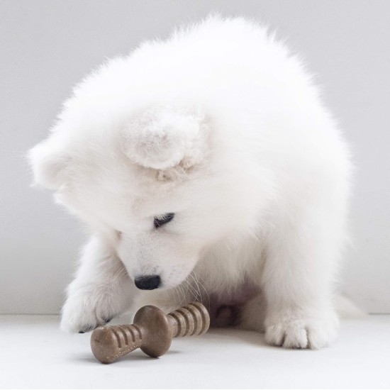 Benebone Indestructible Maple Chew Toy for Aggressive Chewers, Durable and Durable for Puppies, Real Maple Wood for Small Dogs, Product Benebone Indestructible Maple Chew Toy for Aggressive Chewers, Durable and Durable for Puppies, Real Maple Wood for Small Dogs, Product