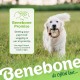 Benebone Medium Fishbone for Dogs - Herringbone Chew Toy Benebone Medium Fishbone for Dogs - Herringbone Chew Toy
