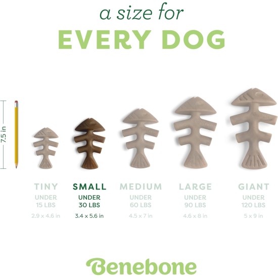 Benebone Medium Fishbone for Dogs - Herringbone Chew Toy Benebone Medium Fishbone for Dogs - Herringbone Chew Toy