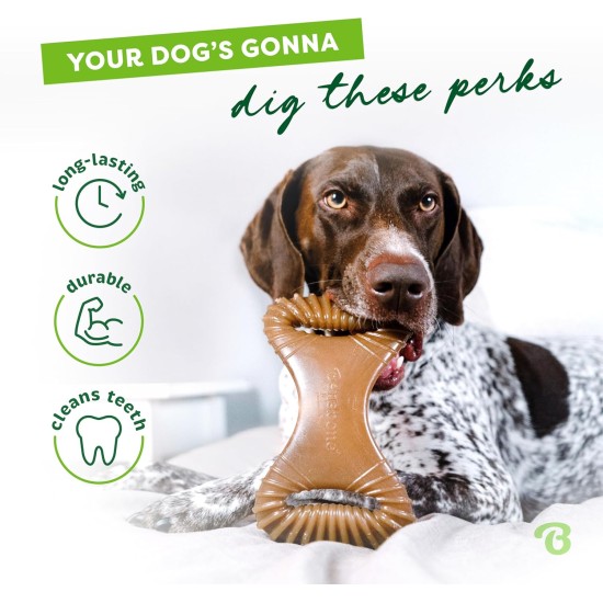 Benebone Medium Fishbone for Dogs - Herringbone Chew Toy Benebone Medium Fishbone for Dogs - Herringbone Chew Toy