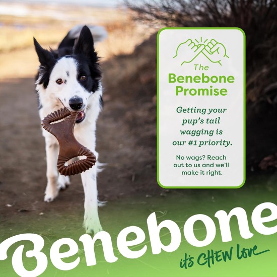 Benebone Medium Fishbone for Dogs - Herringbone Chew Toy Benebone Medium Fishbone for Dogs - Herringbone Chew Toy