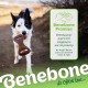 Benebone Medium Fishbone for Dogs - Herringbone Chew Toy Benebone Medium Fishbone for Dogs - Herringbone Chew Toy