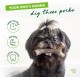 Benebone Medium Fishbone for Dogs - Herringbone Chew Toy Benebone Medium Fishbone for Dogs - Herringbone Chew Toy