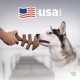 Benebone Medium Fishbone for Dogs - Herringbone Chew Toy Benebone Medium Fishbone for Dogs - Herringbone Chew Toy