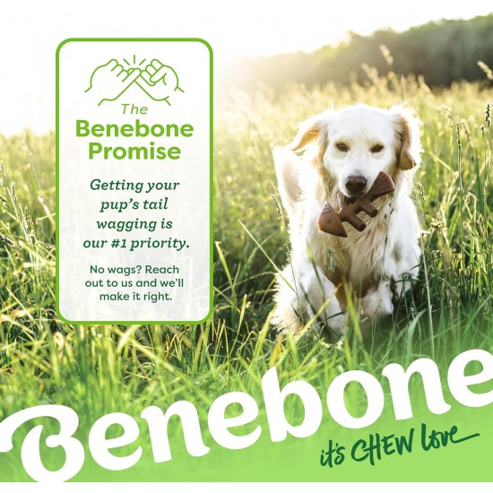 Benebone Medium Fishbone for Dogs - Herringbone Chew Toy Benebone Medium Fishbone for Dogs - Herringbone Chew Toy