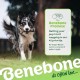 Benebone Medium Fishbone for Dogs - Herringbone Chew Toy Benebone Medium Fishbone for Dogs - Herringbone Chew Toy