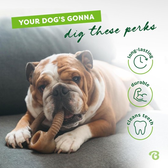 Benebone Medium Fishbone for Dogs - Herringbone Chew Toy Benebone Medium Fishbone for Dogs - Herringbone Chew Toy
