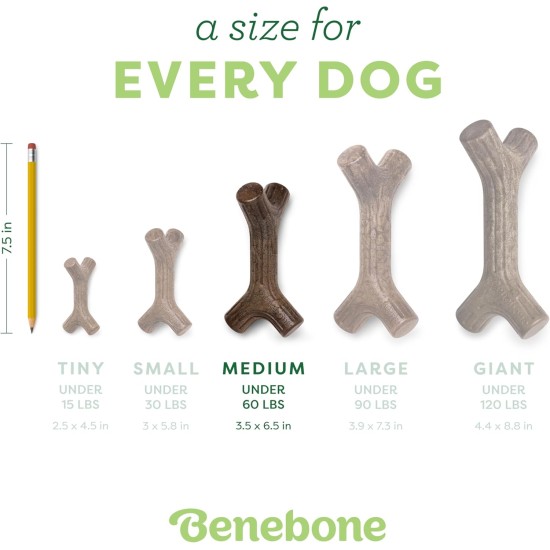 Benebone Medium Fishbone for Dogs - Herringbone Chew Toy Benebone Medium Fishbone for Dogs - Herringbone Chew Toy