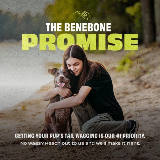 Benebone Natural Rubber Dog Chew Toy 100% Natural Rubber Benebone Natural Rubber Dog Chew Toy 100% Natural Rubber