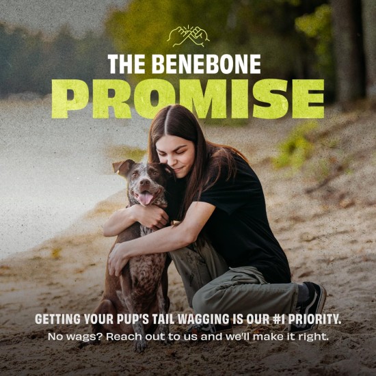 Benebone Pawbler Interactive Natural Rubber Dog Toy with Treat and Dry Food Dispenser - Ideal for Boredom - Medium/Large Benebone Pawbler Interactive Natural Rubber Dog Toy with Treat and Dry Food Dispenser - Ideal for Boredom - Medium/Large