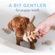 Benebone Puppies 2 Pack Maplestick/Zaggler Chew Toy for Gentle Chewers, Real Bacon & Real Maple Wood, Tiny Benebone Puppies 2 Pack Maplestick/Zaggler Chew Toy for Gentle Chewers, Real Bacon & Real Maple Wood, Tiny