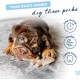 Benebone Puppies 2 Pack Maplestick/Zaggler Chew Toy for Gentle Chewers, Real Bacon & Real Maple Wood, Tiny Benebone Puppies 2 Pack Maplestick/Zaggler Chew Toy for Gentle Chewers, Real Bacon & Real Maple Wood, Tiny