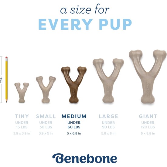 Benebone Puppies 2 Pack Maplestick/Zaggler Chew Toy for Gentle Chewers, Real Bacon & Real Maple Wood, Tiny Benebone Puppies 2 Pack Maplestick/Zaggler Chew Toy for Gentle Chewers, Real Bacon & Real Maple Wood, Tiny