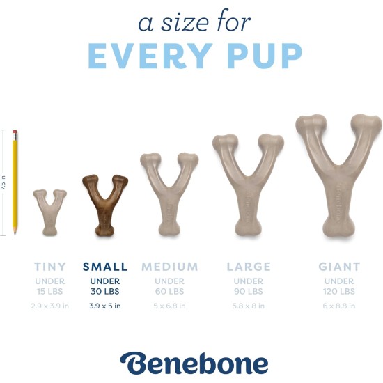 Benebone Puppies 2 Pack Maplestick/Zaggler Chew Toy for Gentle Chewers, Real Bacon & Real Maple Wood, Tiny Benebone Puppies 2 Pack Maplestick/Zaggler Chew Toy for Gentle Chewers, Real Bacon & Real Maple Wood, Tiny