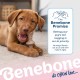 Benebone Puppy Tiny - Pack of 2 Unbreakable Maple Sticks for Aggressive Chewing, Long-Lasting Teething Boredom Breaker for Puppies, Real Bacon and Wood Flavour Benebone Puppy Tiny - Pack of 2 Unbreakable Maple Sticks for Aggressive Chewing, Long-Lasting Teething Boredom Breaker for Puppies, Real Bacon and Wood Flavour